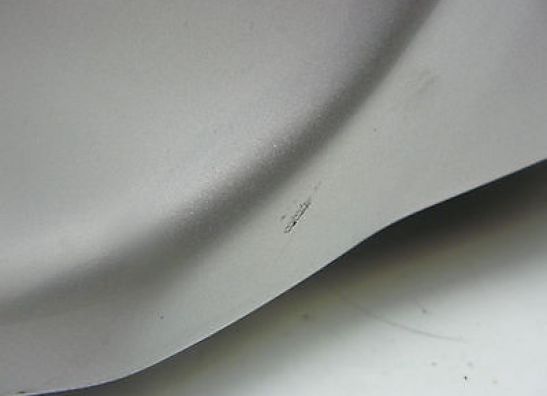 Fuel tank Triumph Speed Triple 1050