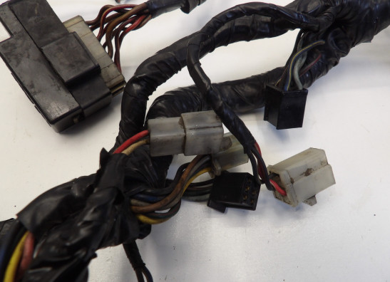 Wire Harness Yamaha V max
