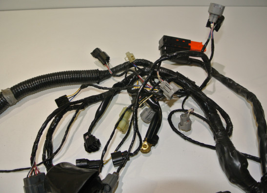Wire Harness Kawasaki Z 750