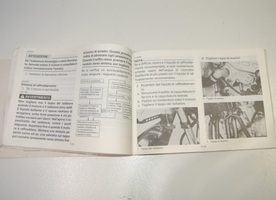 Manuel Yamaha FZR 600