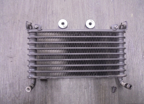 Oliekoeler BMW R Nine T