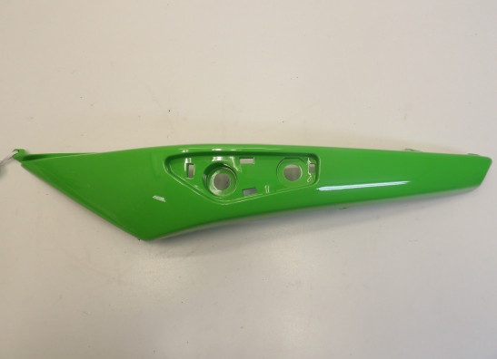 Heck links Kawasaki ER 6