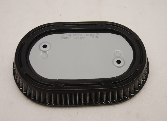 Air cleaner Harley Davidson Softtail