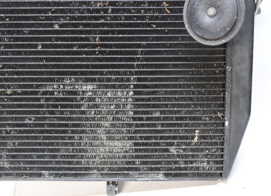 Kuhler Yamaha YZF R1