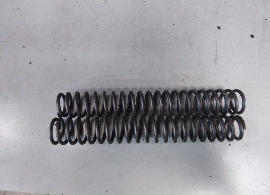 Other Aprilia RS 250