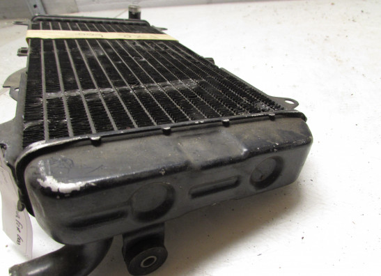 Kuhler Yamaha FZR 600