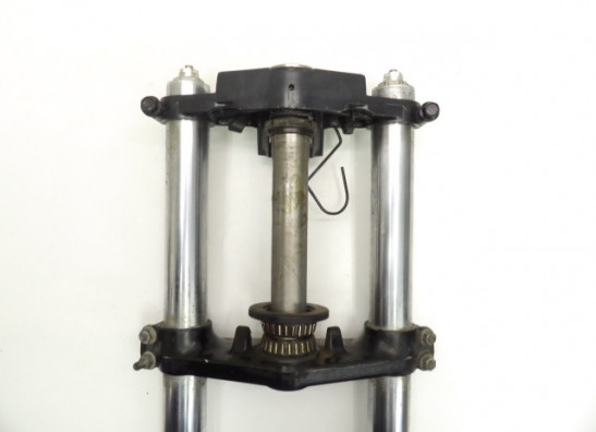 Gabelholm Komplett Kawasaki ZZR 1100