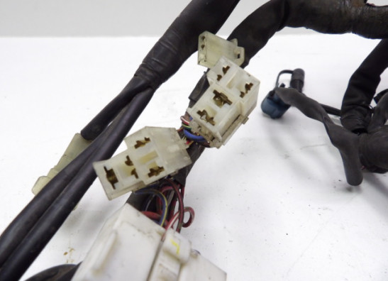 Wire Harness Yamaha FZ6