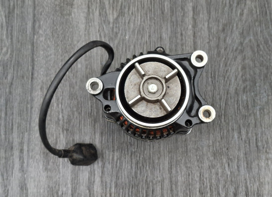 Dynamo Kawasaki ZZR 1100