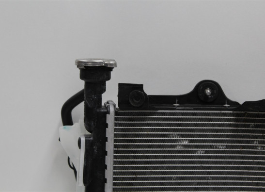 Radiateur BMW S 1000 R