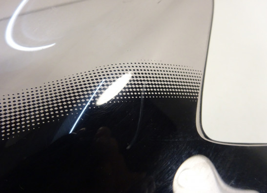 Windschild Yamaha MT 09