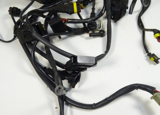 Kabelbaum Ducati monster 600