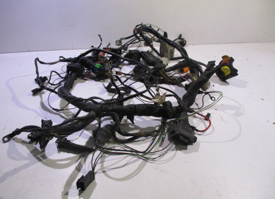 Wire Harness BMW R 850 R