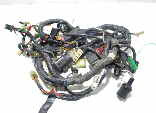 Wire Harness Kawasaki ZZR 1100