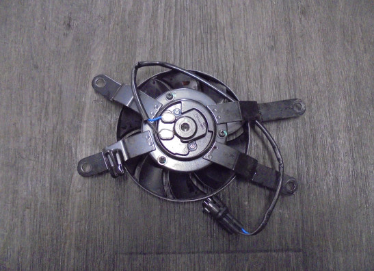 Ventilator Triumph Trident 660