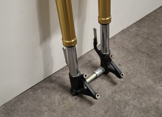 Voorpoten compleet Triumph Tiger 1050