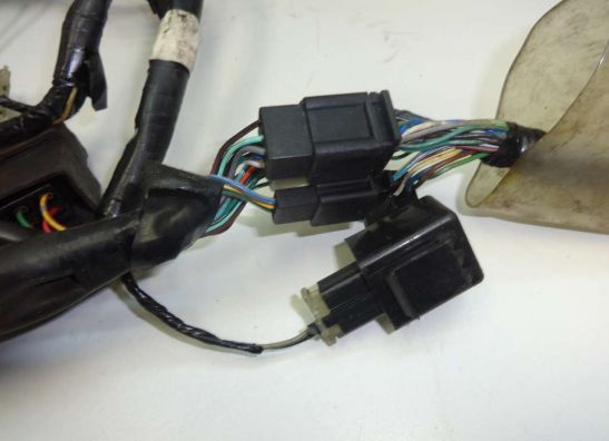 Kabelboom Honda Dylan