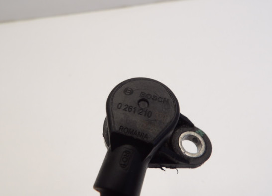 Motorblok diverse Ducati Scrambler Desert Sled