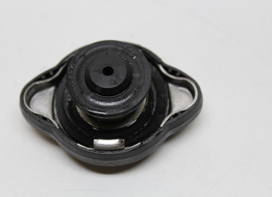 Kuhler Teile BMW R 1200 RS LC