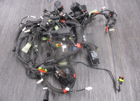 Kabelboom Ducati Monster 1200