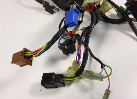 Wire Harness Honda CBF 500