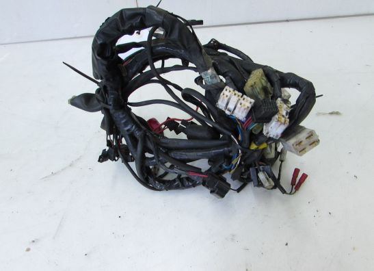 Wire Harness Triumph Sprint 900 Executive