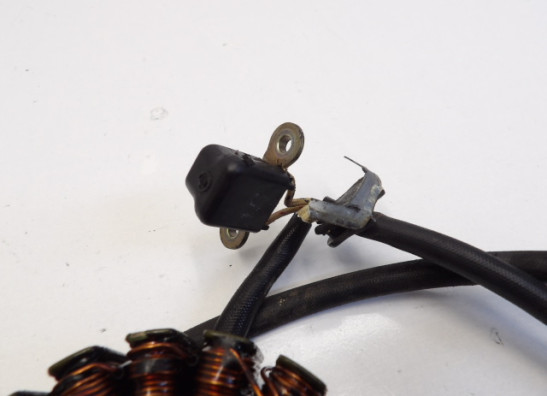 Dynamo Yamaha YX 600 Radian