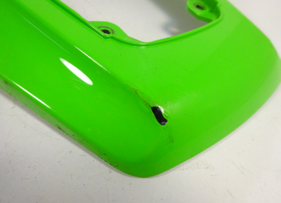 Heck Kawasaki ZX 10 R