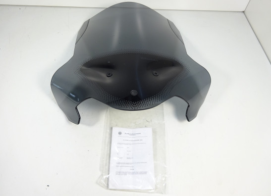 Windschild BMW F 800 R