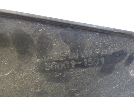 Heck links Kawasaki ZZR 1100