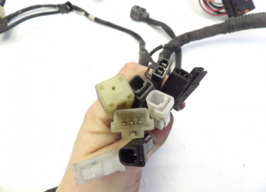 Wire Harness Suzuki GSF 650 Bandit