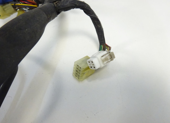 Wire Harness Yamaha TDM