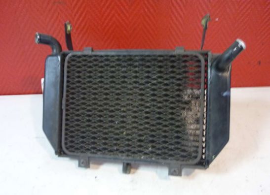 Radiateur Suzuki TL 1000
