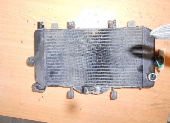 Radiator Yamaha TDM