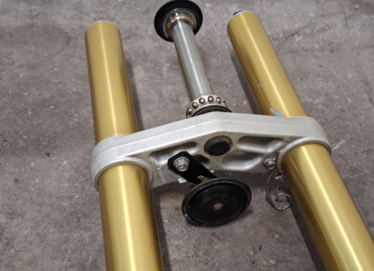 Voorpoten compleet Triumph Tiger 1050