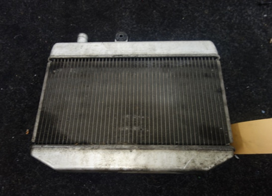 Radiateur Suzuki Burgman 400