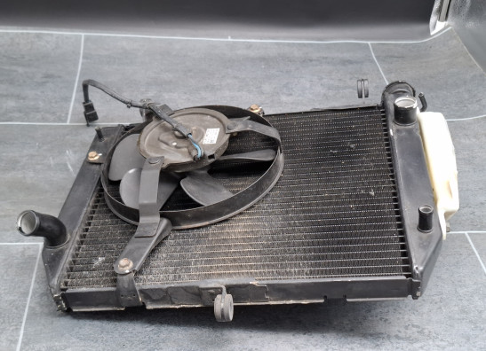 Radiator Yamaha YZF R1