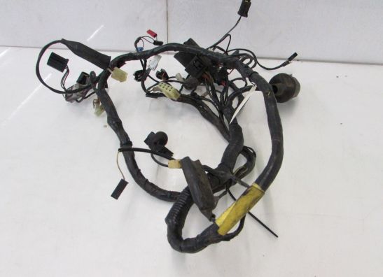 Wire Harness Triumph 1200 Daytona