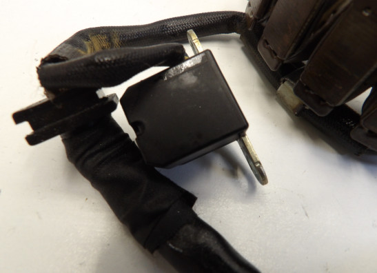 Lichtmaschine Yamaha FZR 600