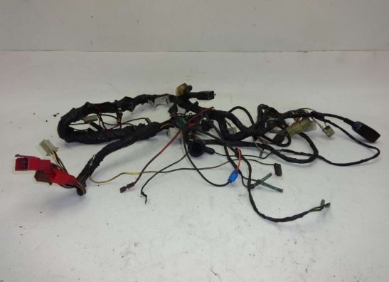 Wire Harness Kawasaki GPZ 900
