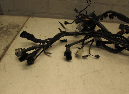 Kabelboom Ducati monster 900