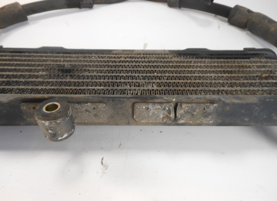 Olkuhler Suzuki GSX F 600