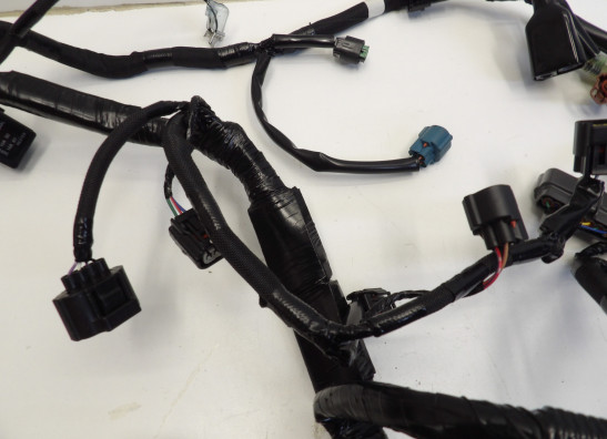 Wire Harness Kawasaki ZX 10 R