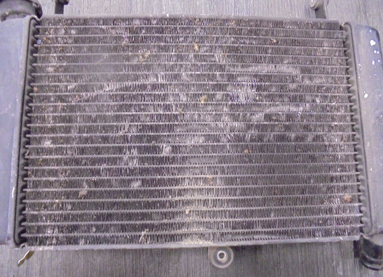 Kuhler Yamaha FZR 600