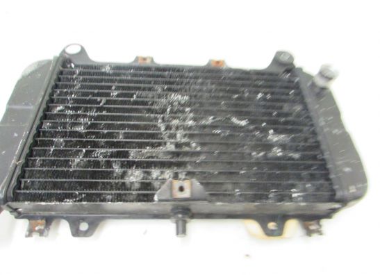 Kuhler Kawasaki ZZR 600