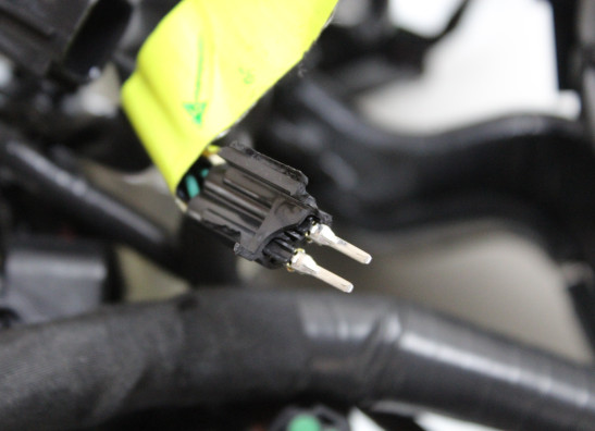 Kabelbaum Honda CRF 1100 Africa Twin