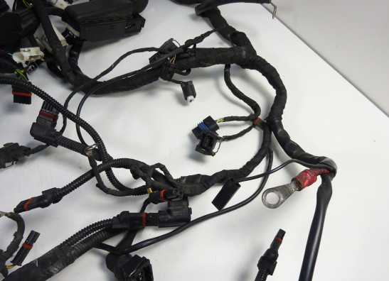 Wire Harness BMW R 1200 RT