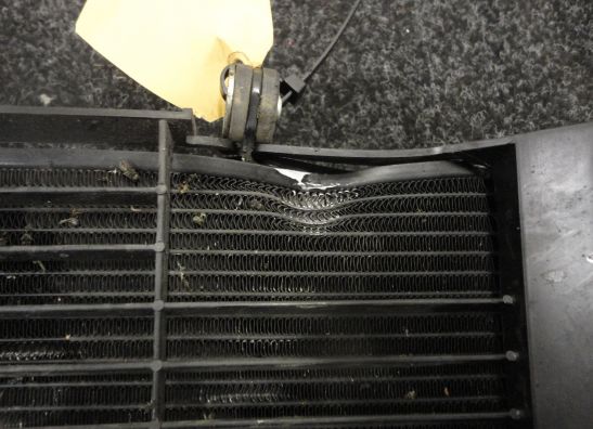 Kuhler Yamaha XJ 600 Diversion