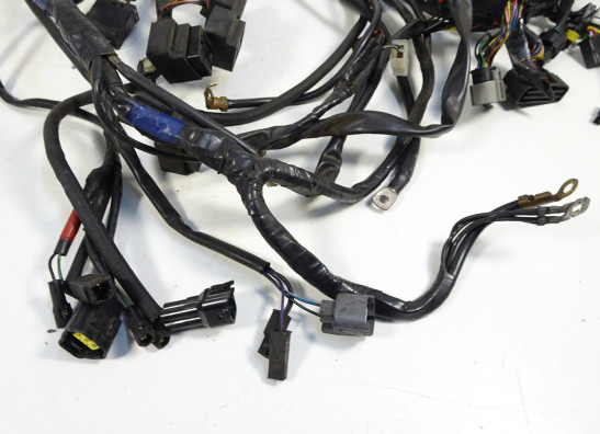 Wire Harness Triumph Sprint ST 1050