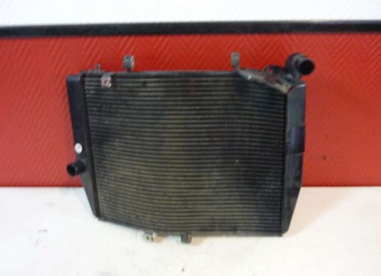 Radiateur Honda CBR 600 RR
